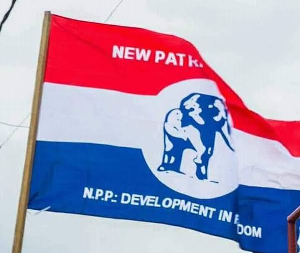 Delegates Overrule NPP Chairman to Force Through Massive Constitutional Overhaul
